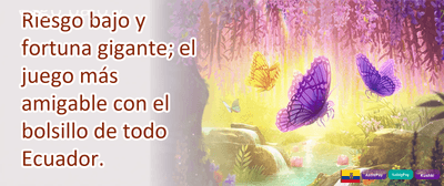 Cashback Semanal VIP promotion